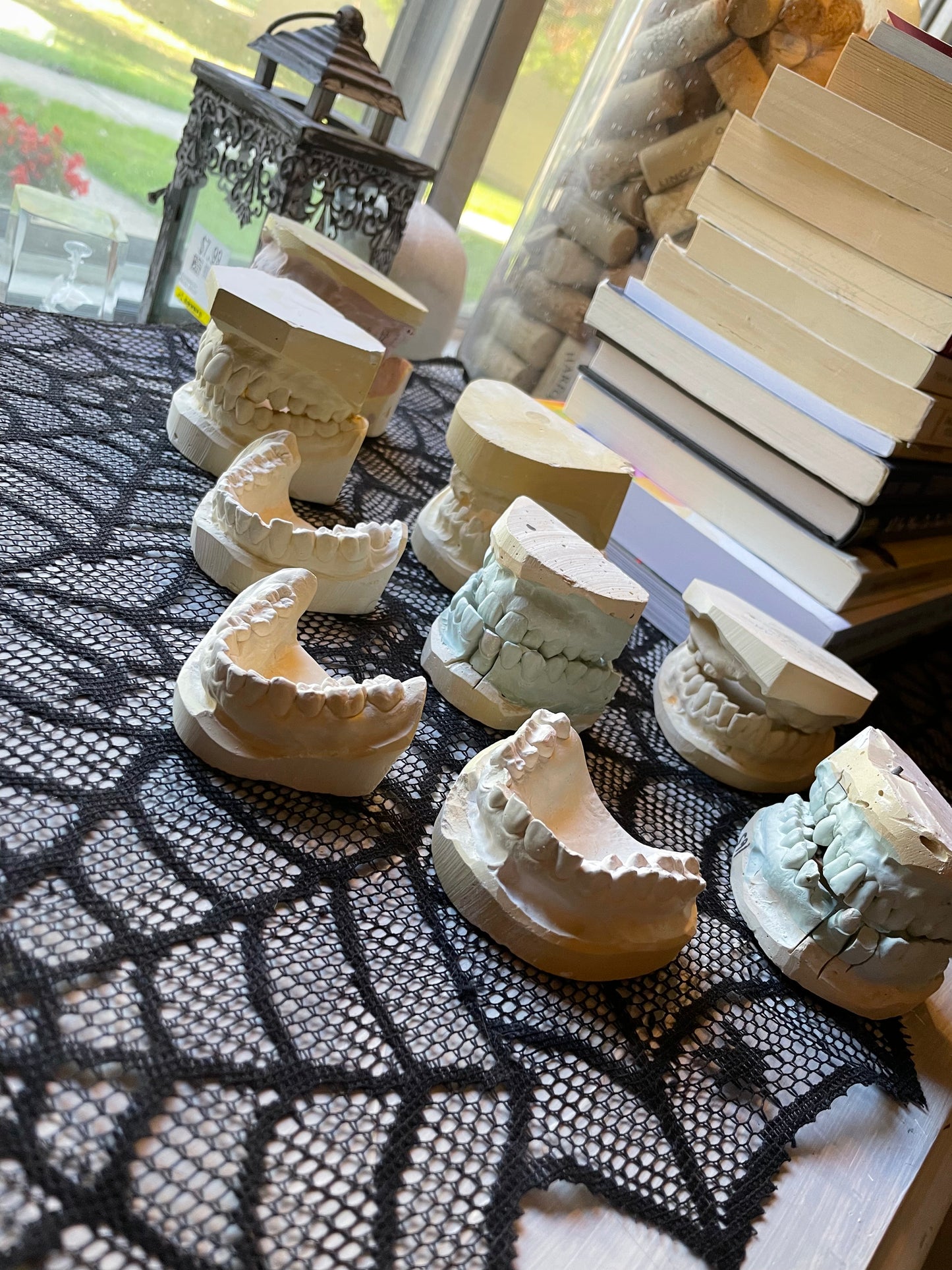 Random Dental Plaster Molds