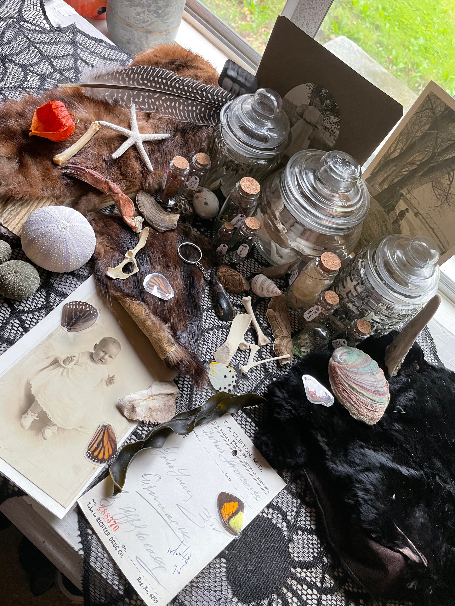 Deluxe Oddity Mystery Box