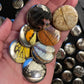 Real Butterfly Wing Pinback Buttons