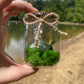 Green Flourite Butterfly Jar Displays