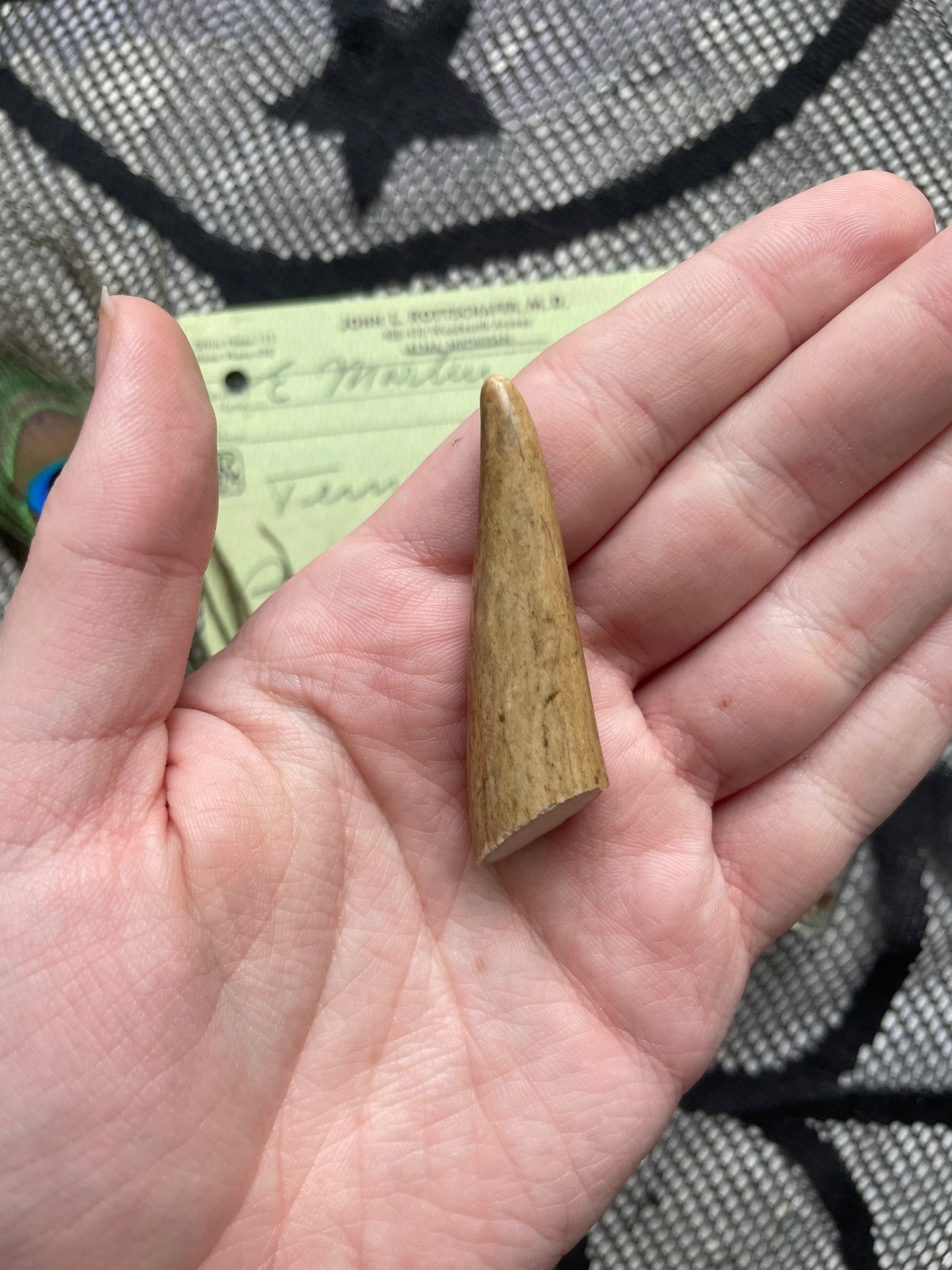 Small Oddity Variety Box