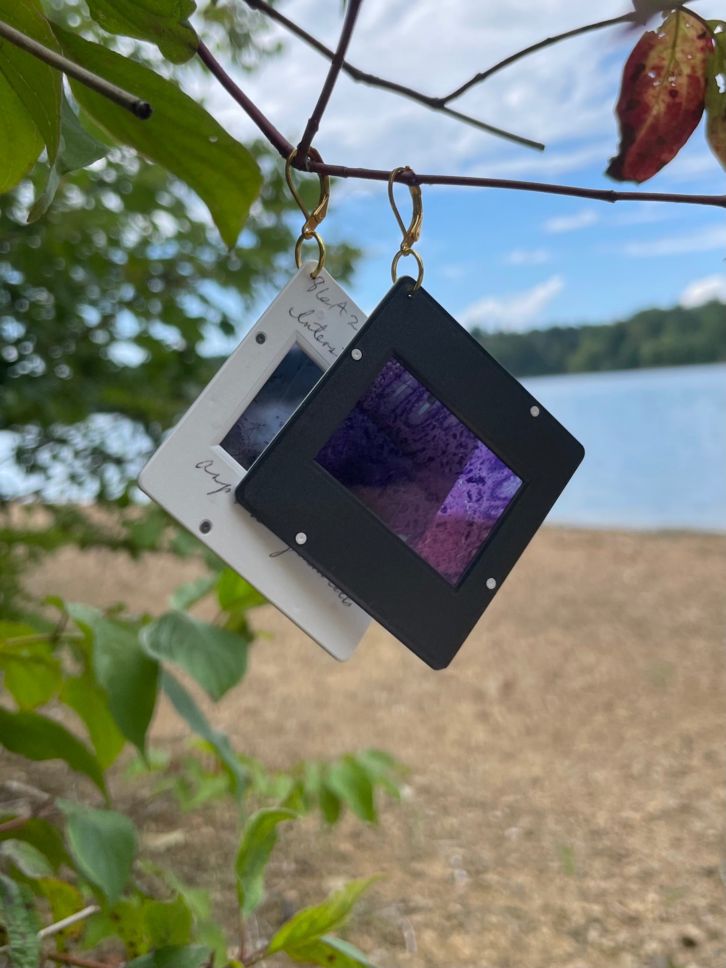 1980's Medical Images Earrings