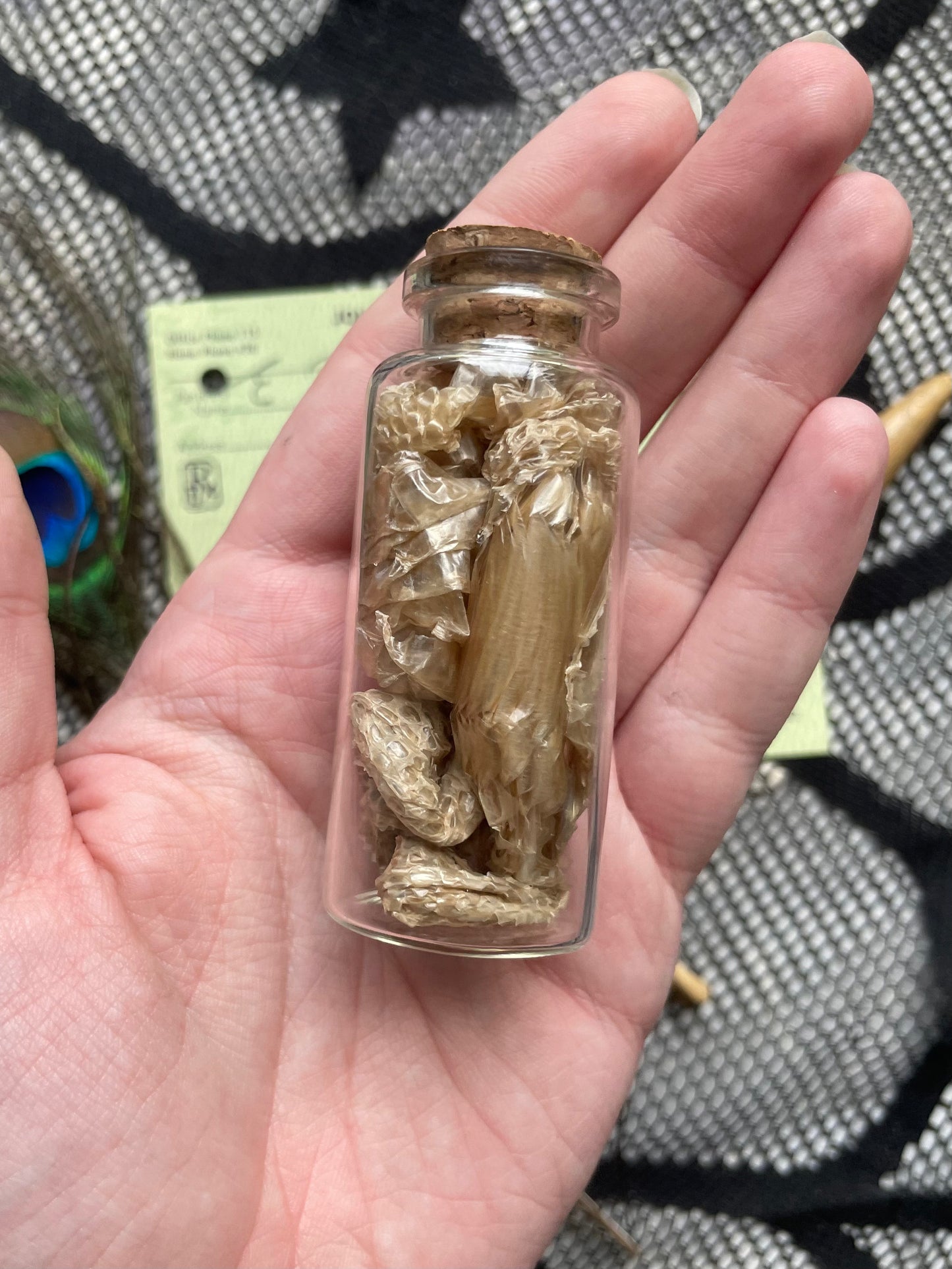 Small Oddity Variety Box