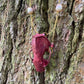 Metallic Burgundy Mink Skull Necklace