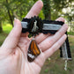 Vole Scapula Bone and Butterfly Wing Choker Necklace