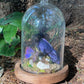 Iridescent Mink Skull, Beetle, and Butterfly Geode Cloche Display