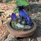 Iridescent Mink Skull, Beetle, and Butterfly Geode Cloche Display