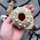 Variety Oddity Box with Mink Paw, Turkey Bone, Snake Shed