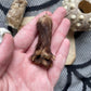 Variety Oddity Box with Mink Paw, Turkey Bone, Snake Shed
