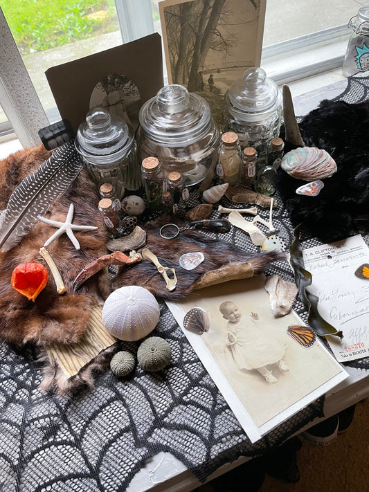 Deluxe Oddity Mystery Box