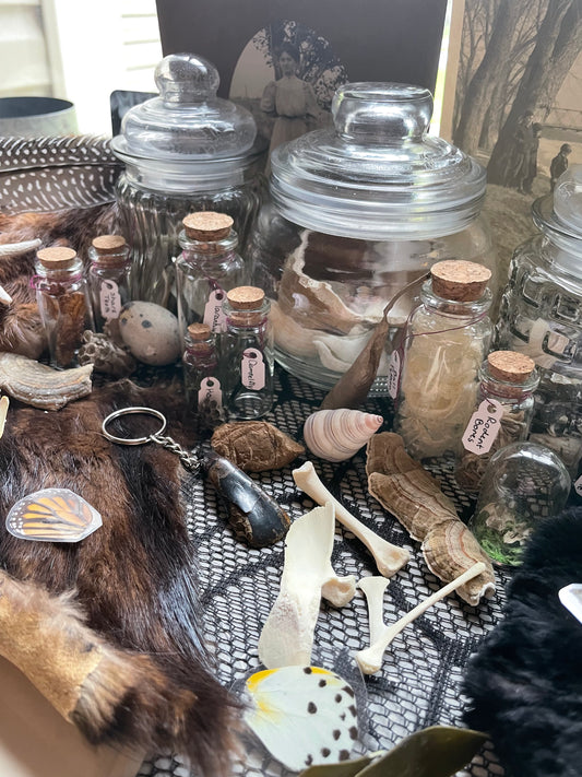 Deluxe Oddity Mystery Box