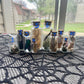 Assorted Mini Oddity Displays
